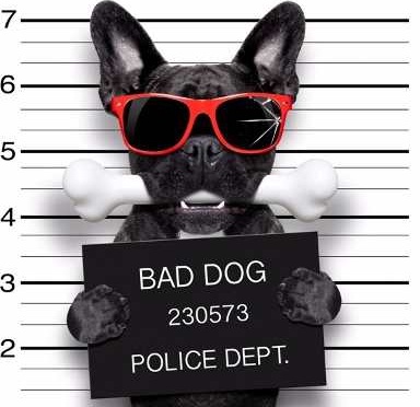 PAPEL ADESIVO PARA PAREDE BAD DOG - CACHORROS